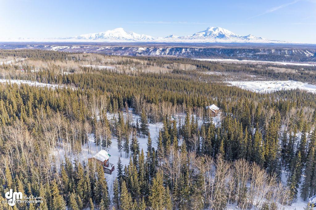 000 Richardson Highway - Photo 1
