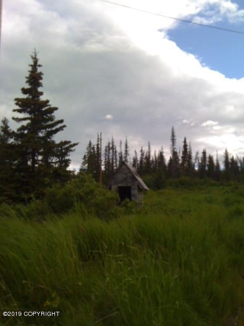 37496 Greer Road - Photo 1