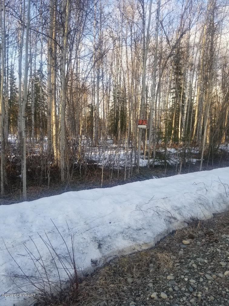 24642 Otter Lake Loop - Photo 1