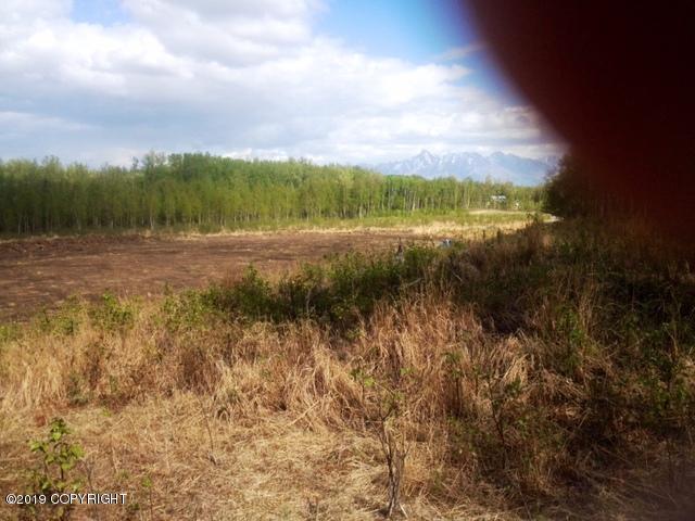 3826 Old Matanuska Road - Photo 1