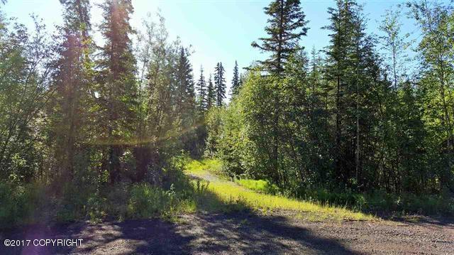 L2 B6 Timberbrook Drive - Photo 1