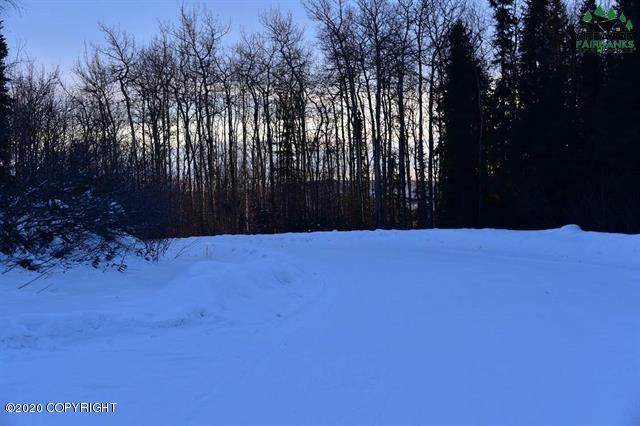 753 Goldstreak Road - Photo 1