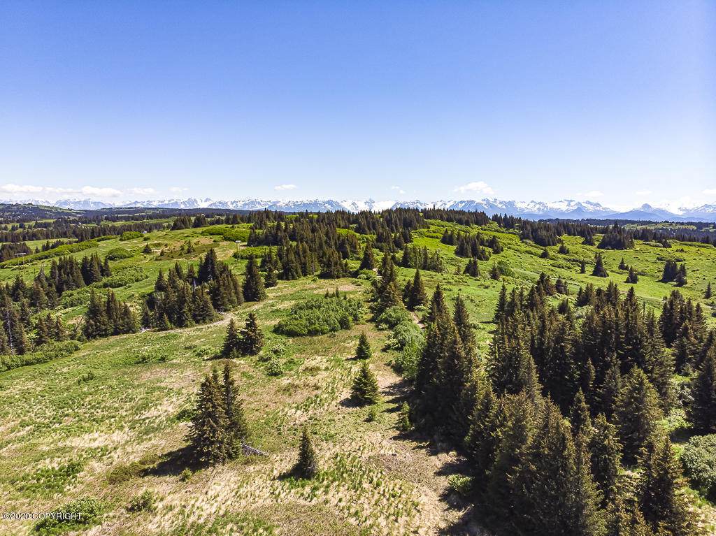 000 Homestead Trail - Photo 1