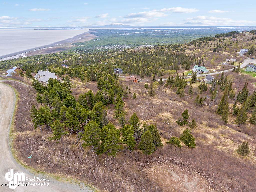 7135 Big Mountain Drive - Photo 1