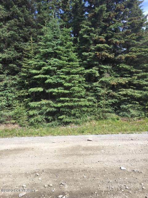 540 Baleen Avenue - Photo 1