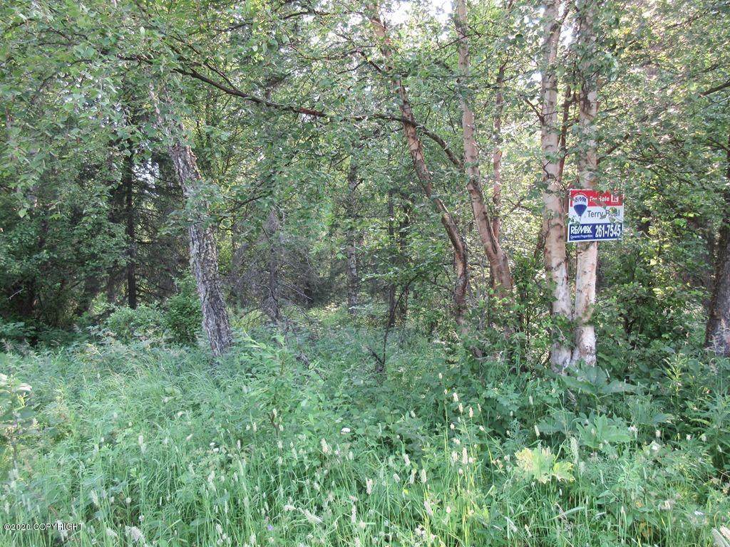 5851 Tazlina Drive - Photo 1