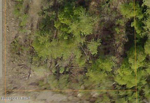 L17A B4 Tanana Drive - Photo 1