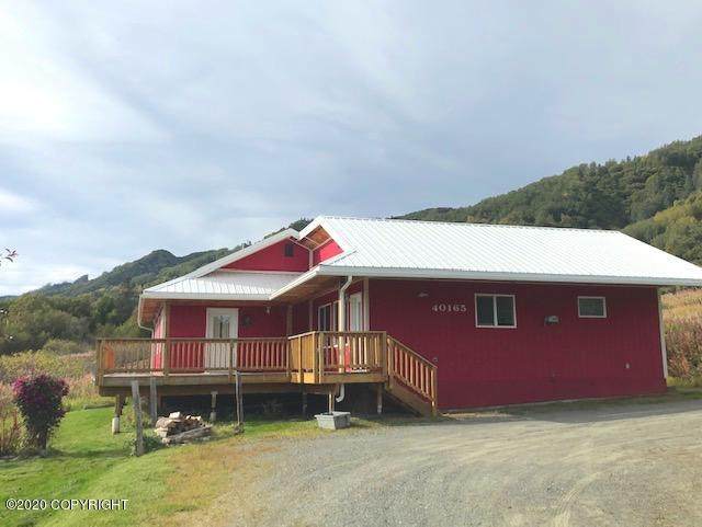 40165 Portlock Drive - Photo 1