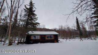 17005 Old Glenn Highway - Photo 1