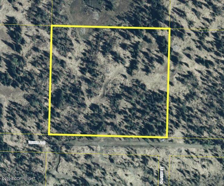 Tr 28 King Acres - Photo 1