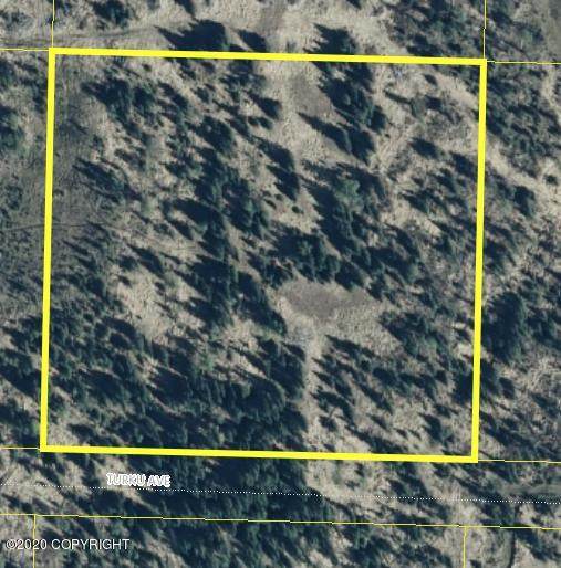 Tr 27 King Acres - Photo 1