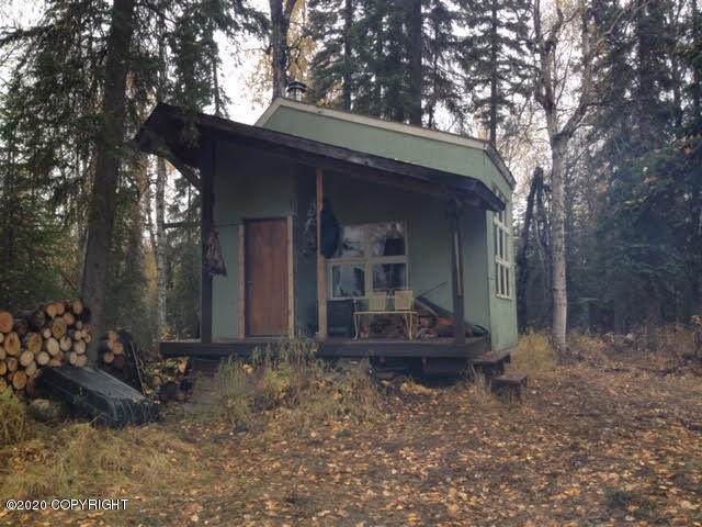 AS #85-013 Small Potato Lake (No Road) - Photo 1