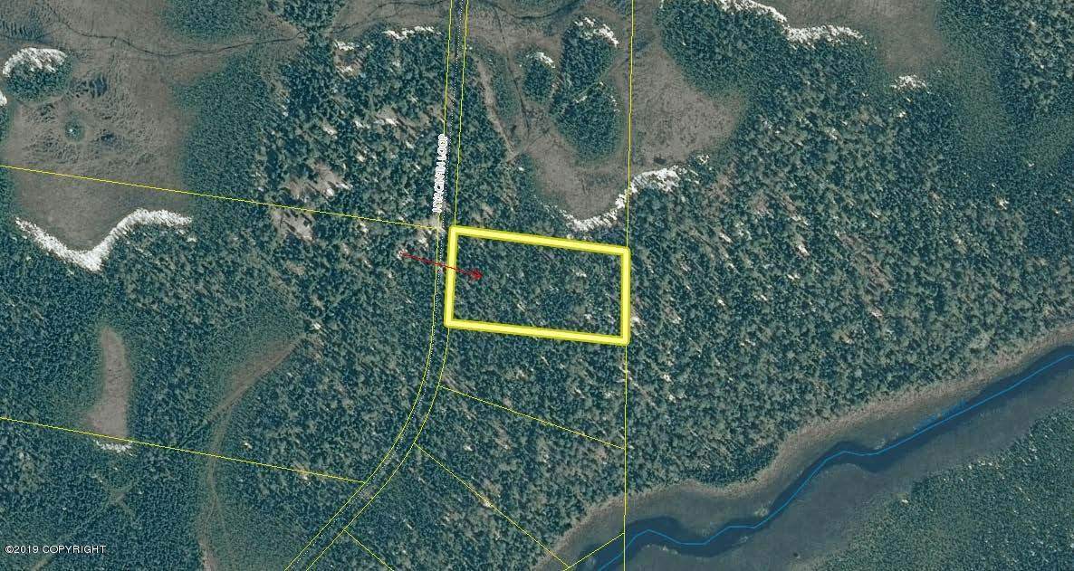L376 Hyacinth Loop - Photo 1