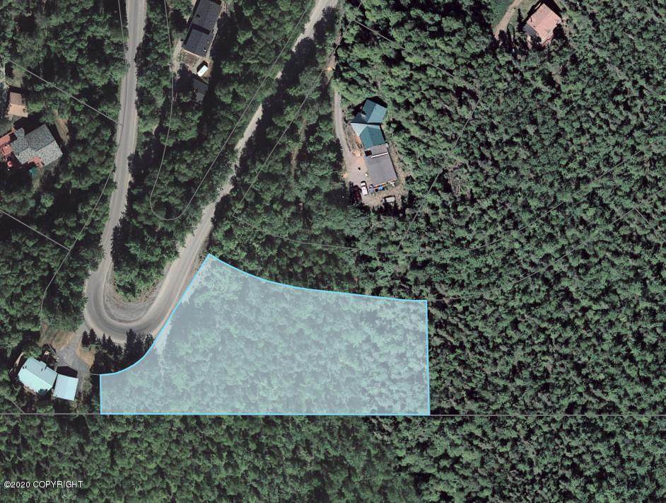 L18 B2 Chugach Park Drive - Photo 1