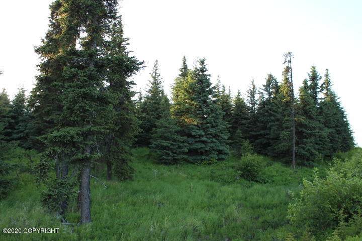 L65 Arcturus Loop - Photo 1