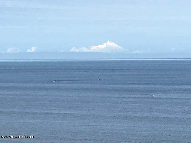 L9 Kalifornsky Beach Road - Photo 1