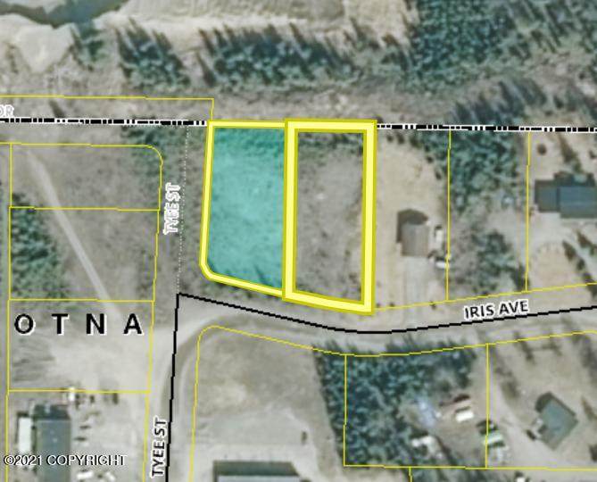 220 Iris Street - Photo 1