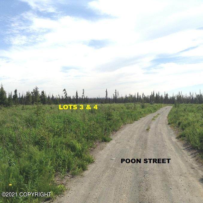 Lts 3&4 Poon Street - Photo 1