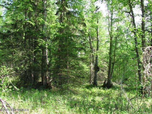 B003 Blue Goose Road - Photo 1