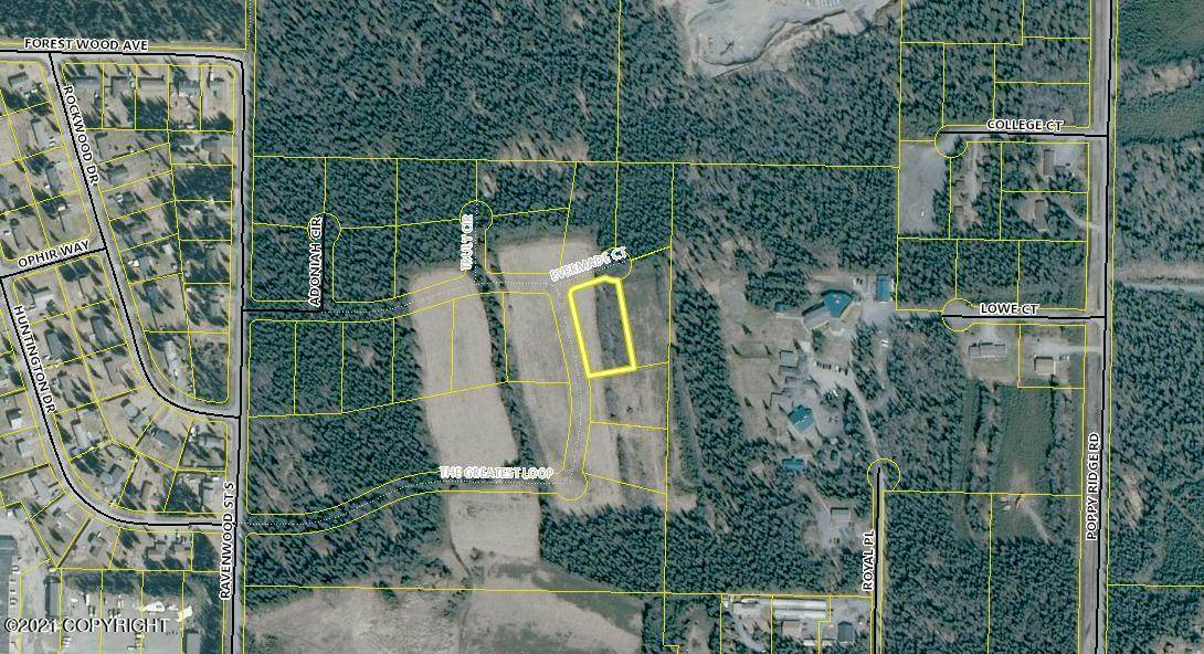 L12 Bella Woods - Photo 1