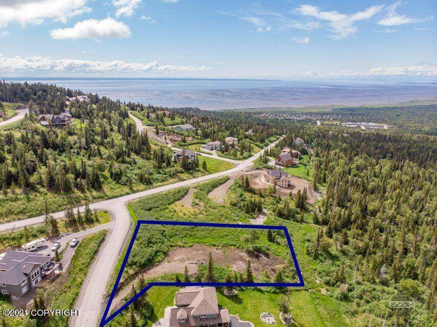 16074 Mountain Air Drive - Photo 1