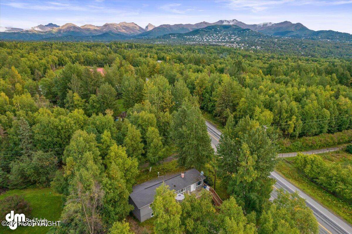 3241 Rabbit Creek Road - Photo 1