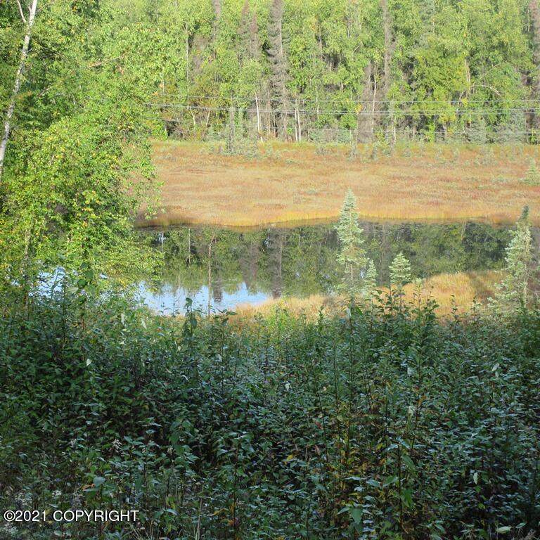 4876 Echo Lake Drive - Photo 1
