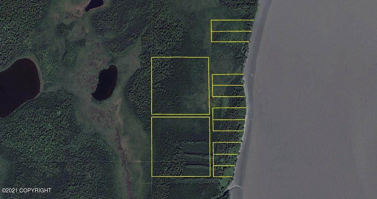 Lot 1 Knik Arm (No Road) - Photo 1