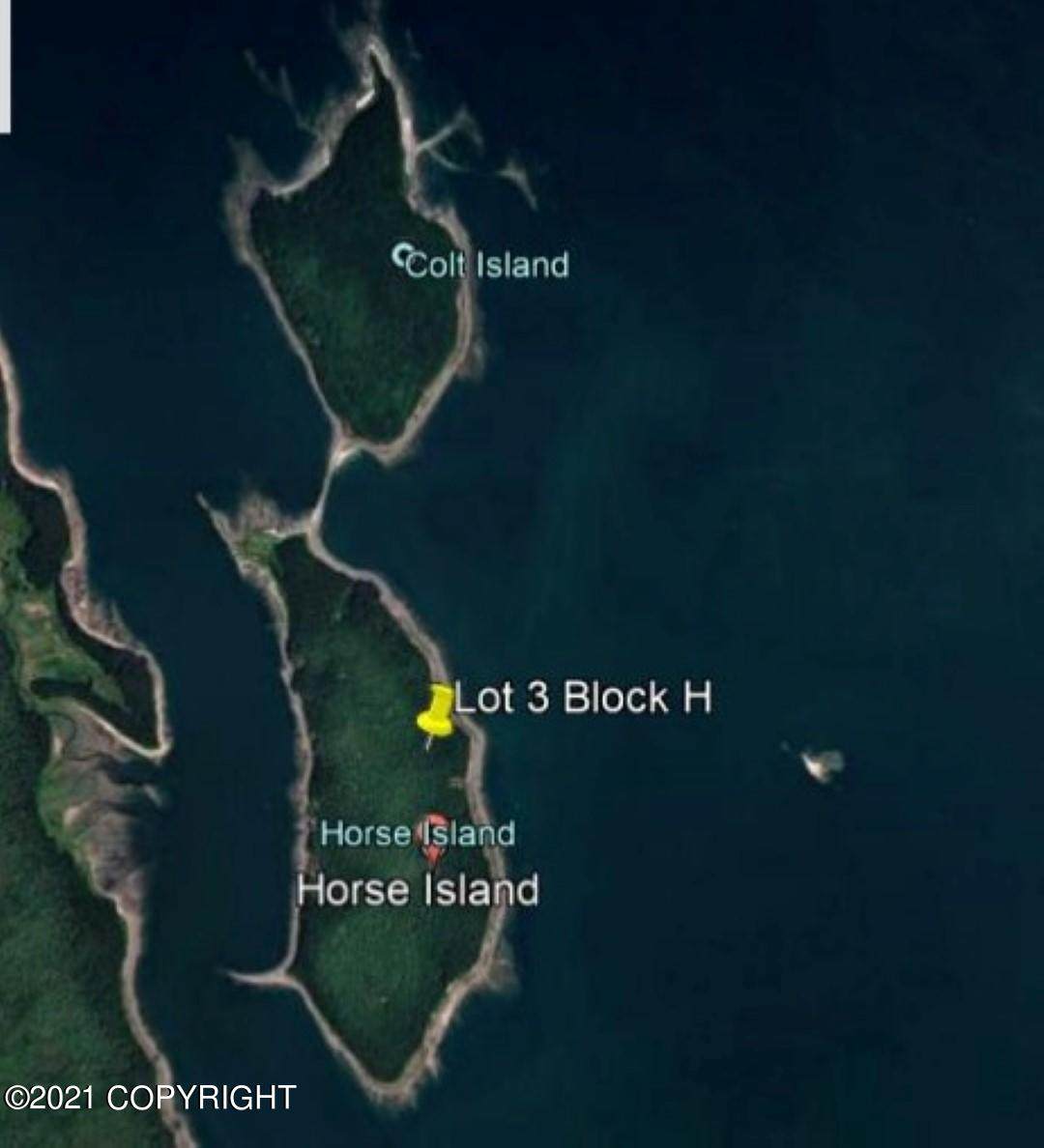 L3 BH Horse Island - Photo 1