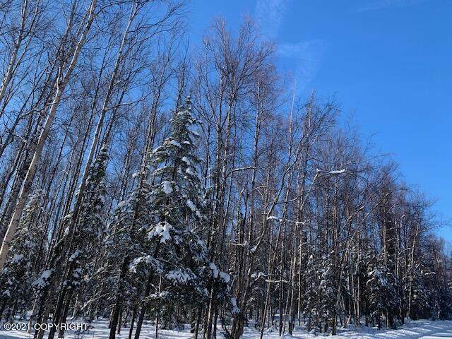Tr 1A Cheri Lake - Photo 1