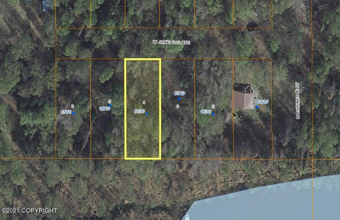 1550 June Bug Avenue - Photo 1