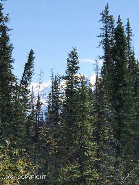 Mi 116.9 Richardson Highway - Photo 1