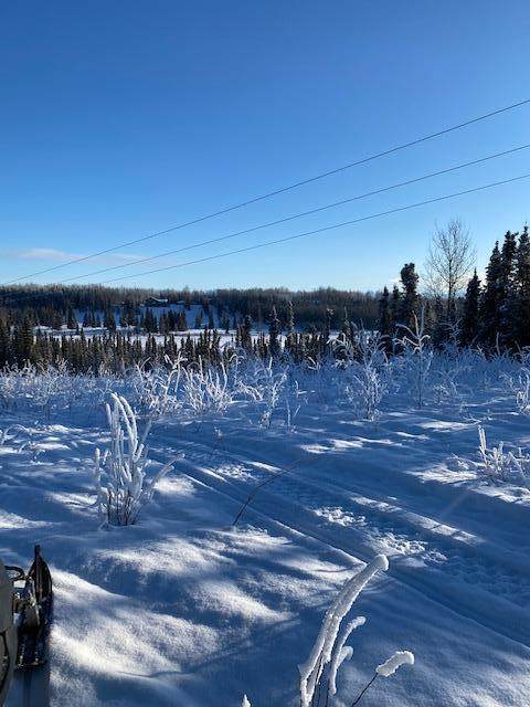 000 T 5N R 8W Sec 6 Seward Meridia - Photo 1