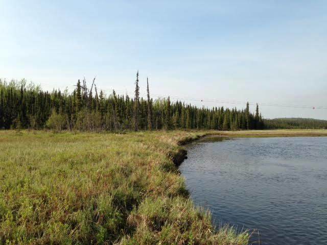 001 Moose River 12 Acres - Photo 1