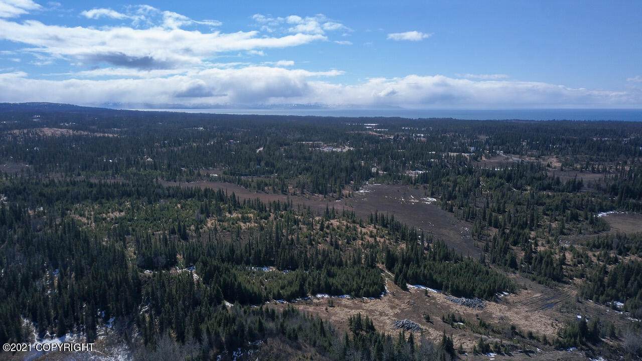 37295 Sterling Highway - Photo 1
