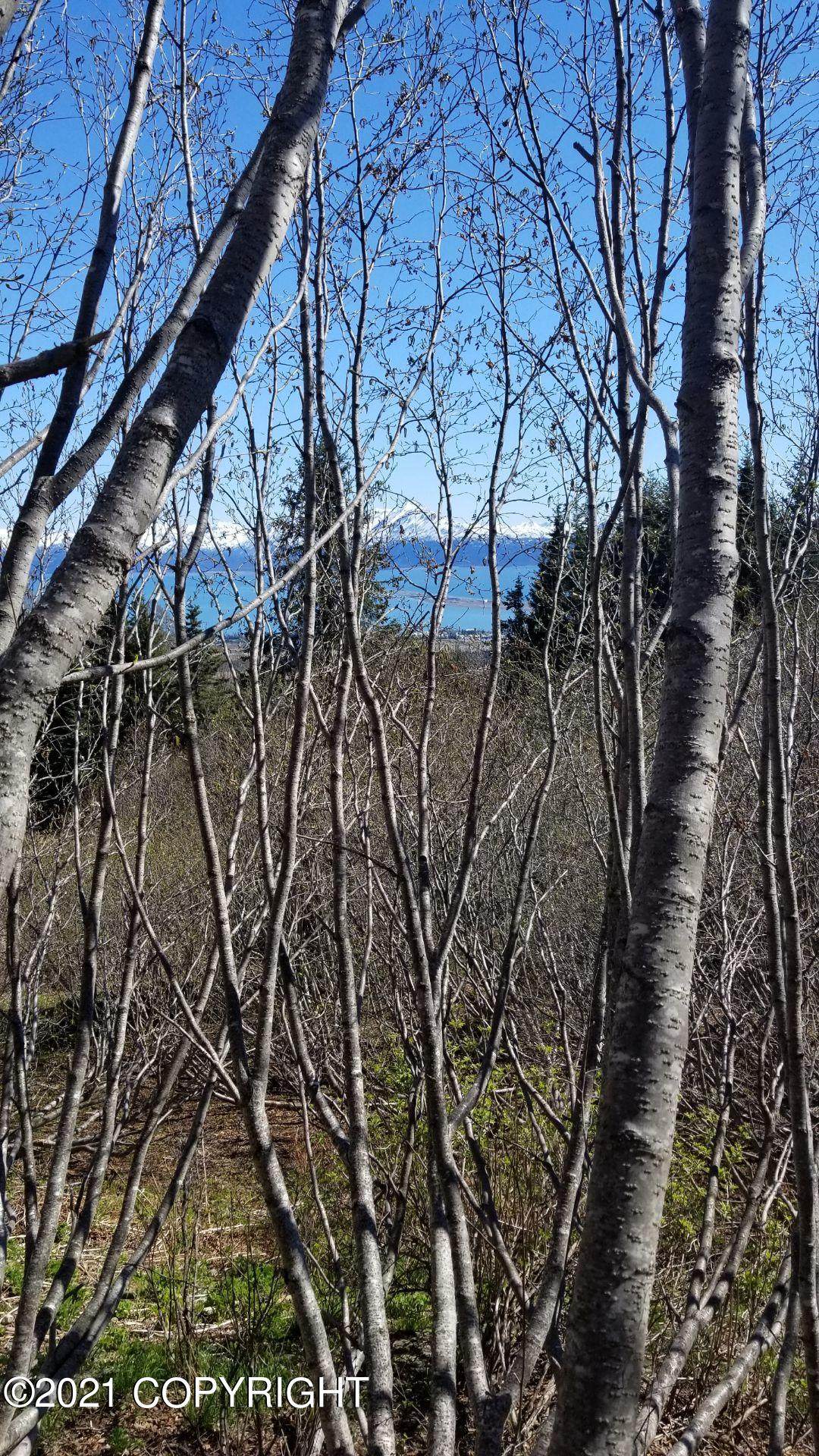 TR 2 Cottonwood Lane - Photo 1