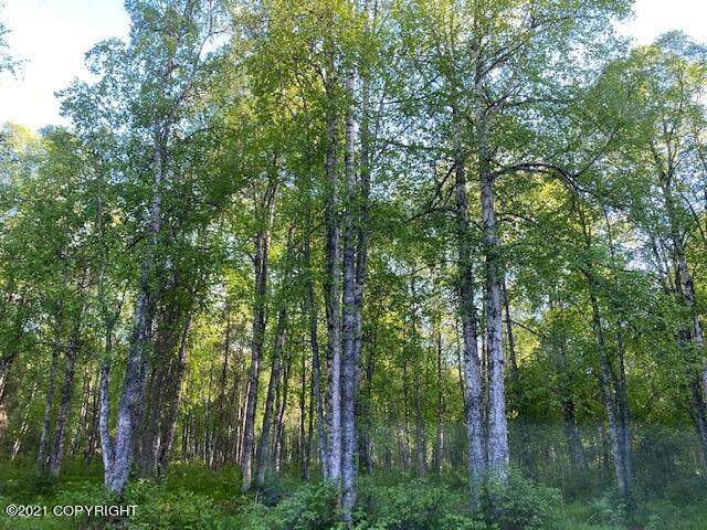 79143 Zorab Road Street - Photo 1