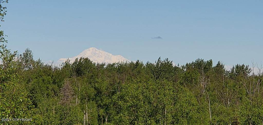 14791 Susitna Landing Road - Photo 1