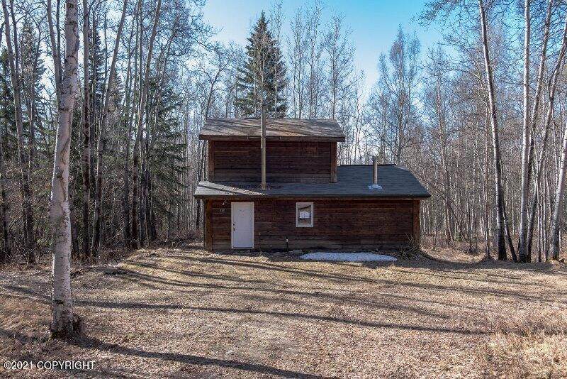 585 Gold Mine Trail - Photo 1
