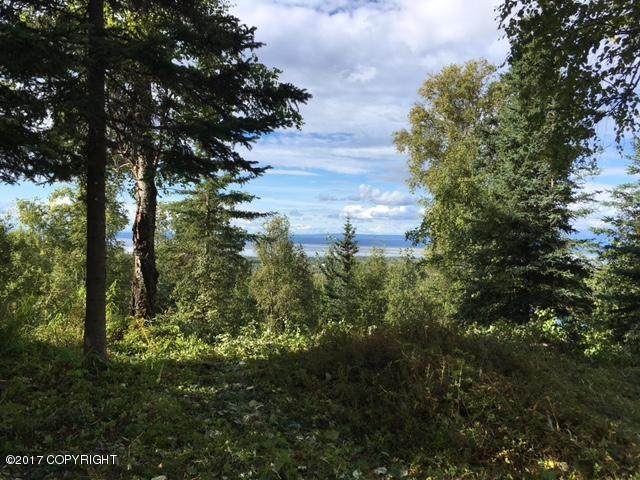 000 Mountain Road - Photo 1