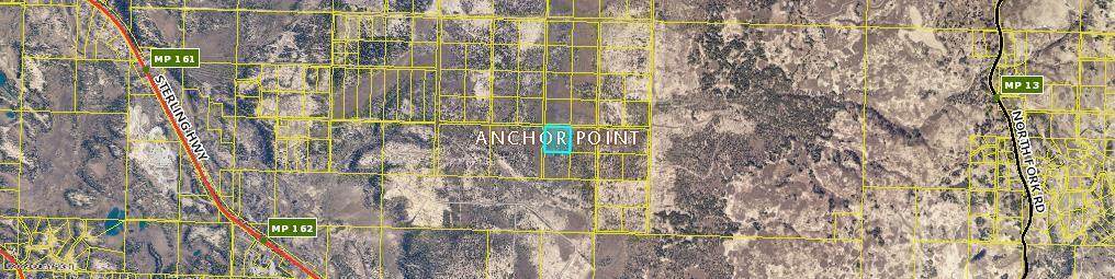 L11B Anchor River Ranchos - Photo 1