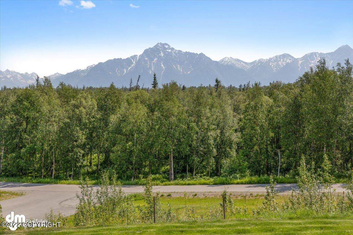 10464 Winterwood Circle - Photo 1