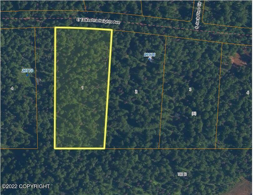 L1 B6 Talkeetna Heights Avenue - Photo 1
