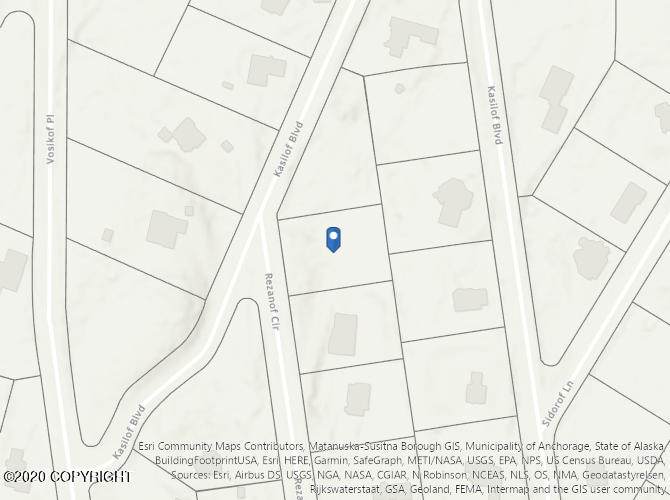10501 Rezanof Circle - Photo 1