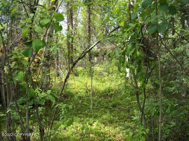 52133 No Road Trail - Photo 1