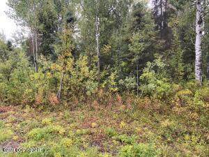 46514 Merlin Drive - Photo 1