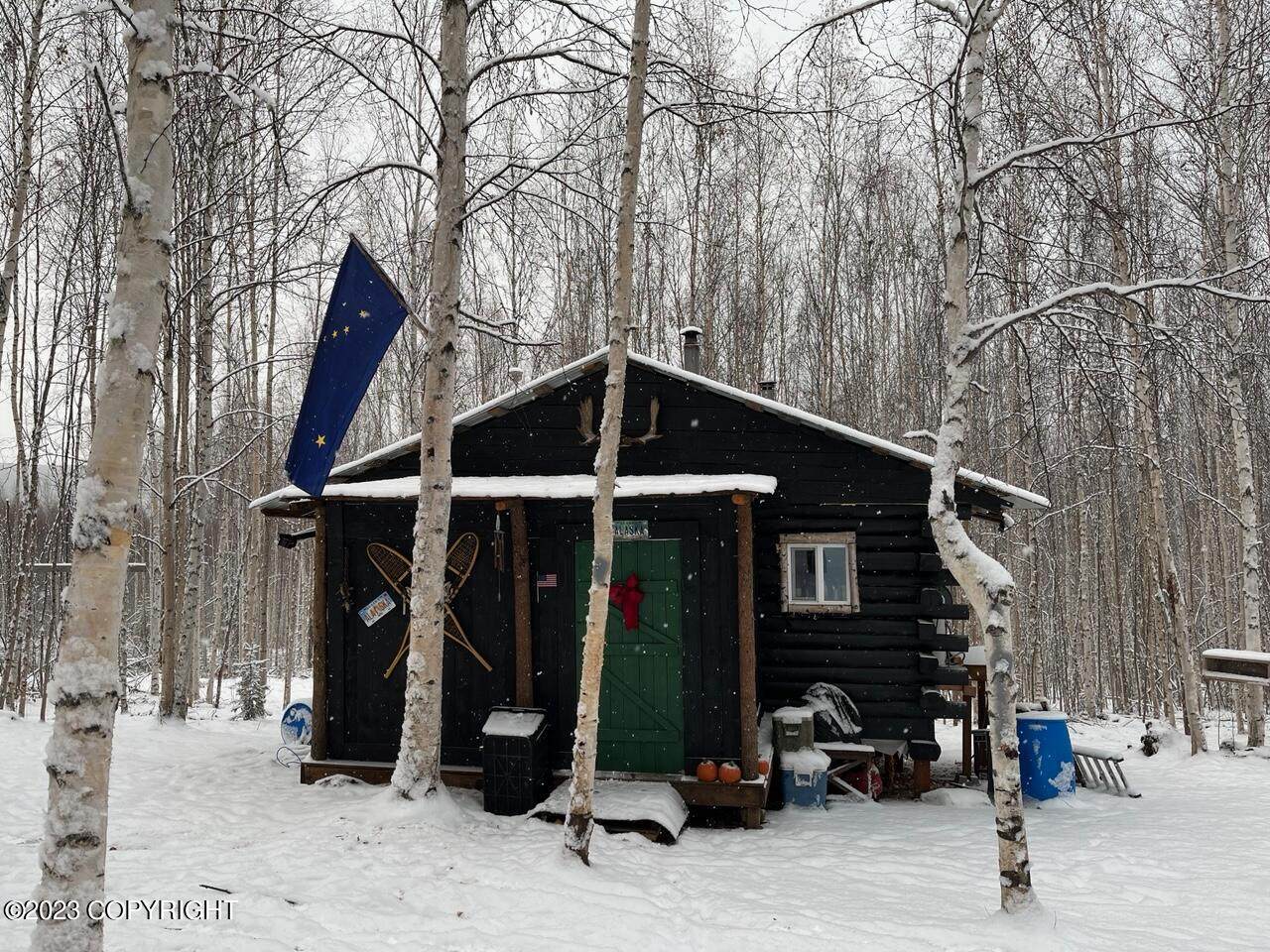 5140 Himilaya Road - Photo 1