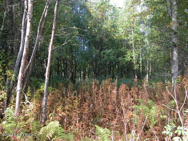 https://bt-photos.global.ssl.fastly.net/alaska/orig_boomver_1_24-13370-2.jpg