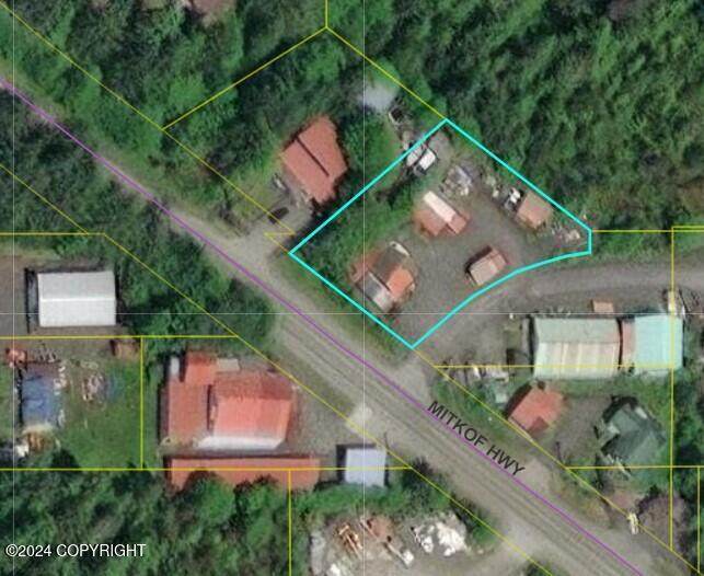 299 Mitkof Highway - Photo 1