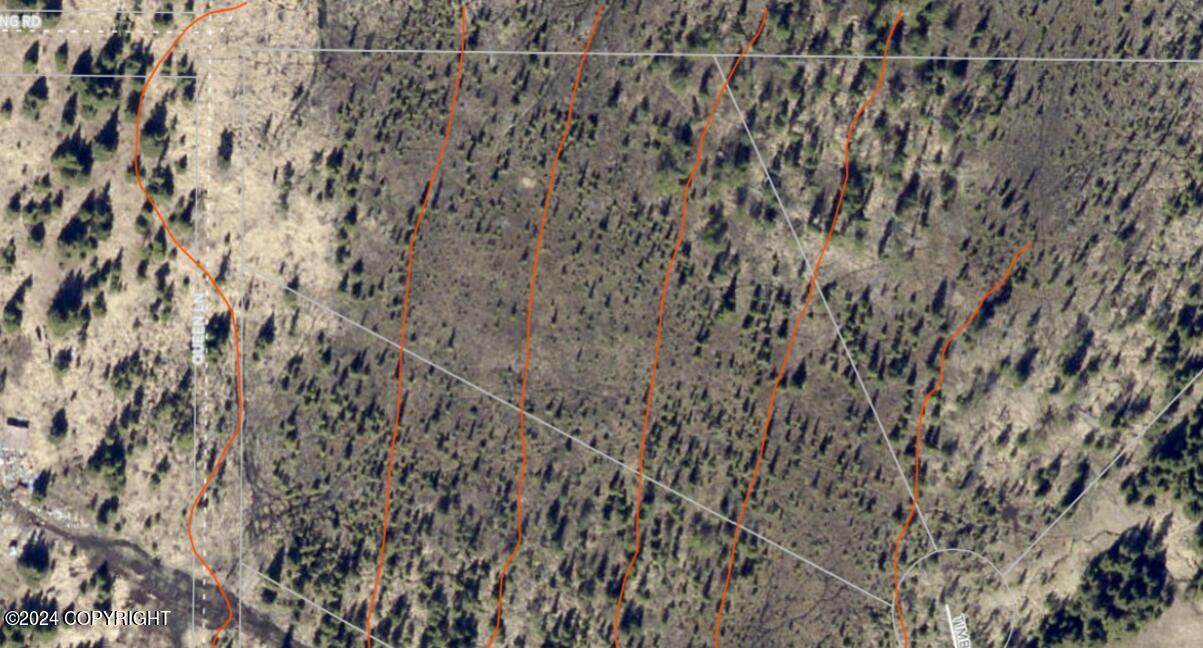 W5 Alaskan Wildwood Ranch(R) - Photo 1